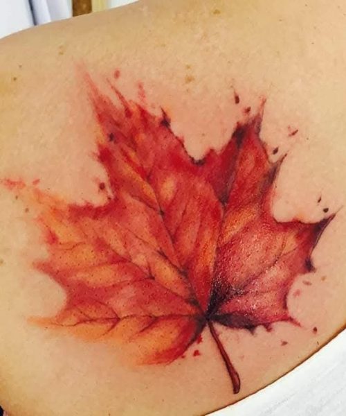 Immagine WhatsApp 2025-09-15 ore 13.45.57_dff59f63